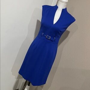 Lined  Sleeveless Trina Turk Dress - 4